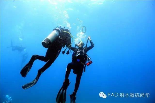 绥阳：抓住“鸡”遇  “00后”新农人逐梦乡村